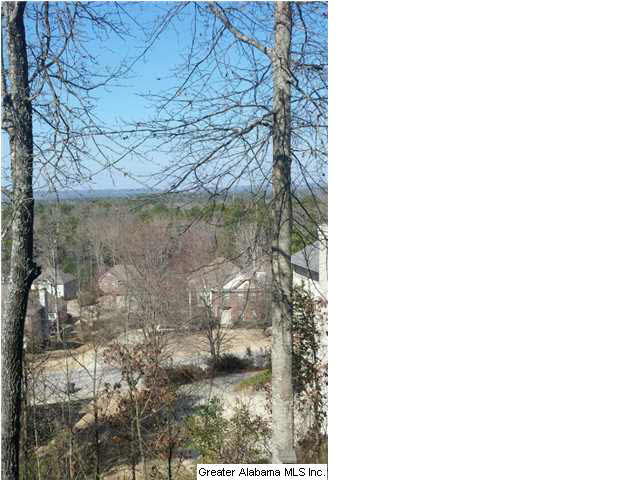 2217 Circle View Lane Birmingham, AL 35244 - Photo 3 of 18