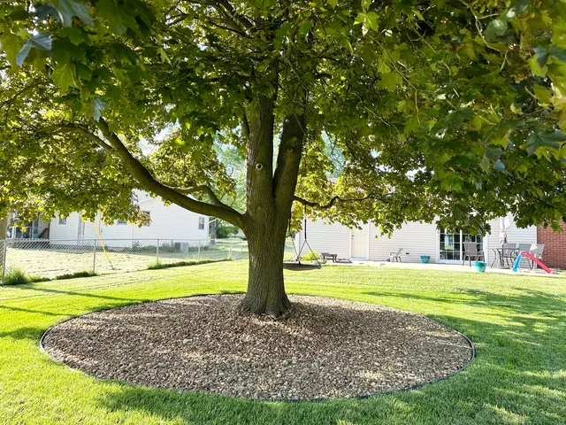 a view of a yard with large trees
