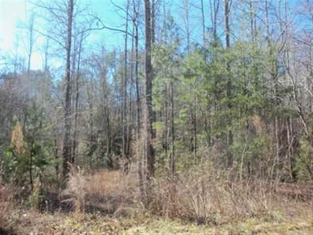 18 Table Rock Road Cleveland, SC 29635 - Photo 1 of 1