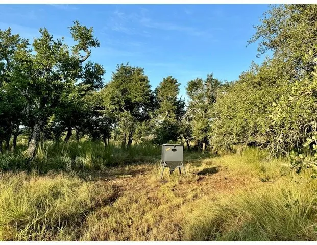$995,000 | 0 Ranch Road 965, Fredericksburg, TX 78624