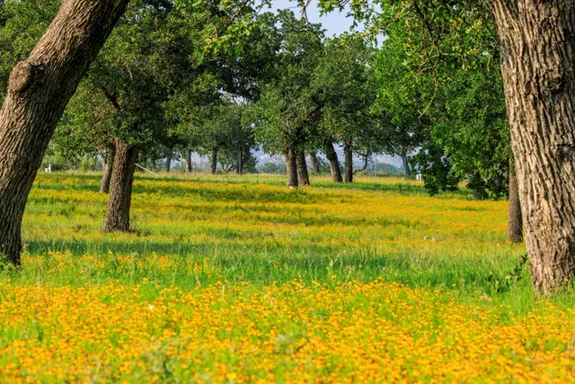 $995,000 | 0 Ranch Road 965, Fredericksburg, TX 78624