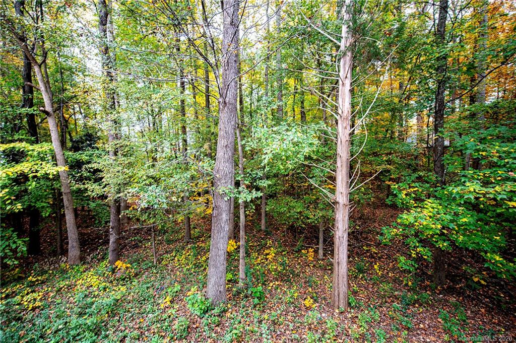 380 Windell Drive Fort Mill, SC 29708 - Photo 42 of 47