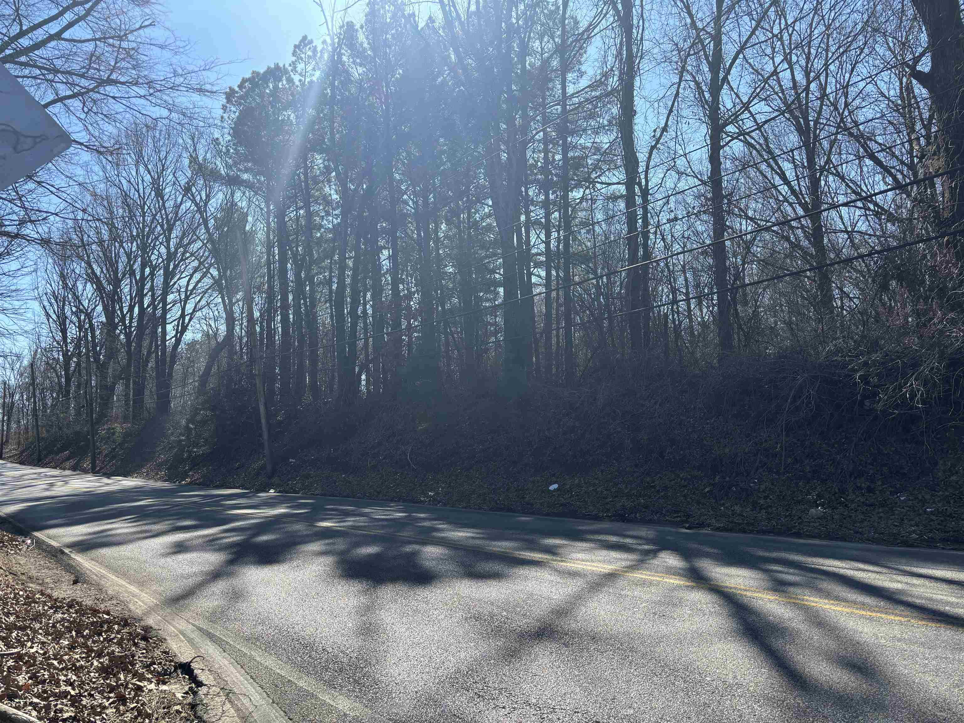 0 Tchulahoma Road Memphis, TN 38118 - Photo 2 of 2 a view of a yard