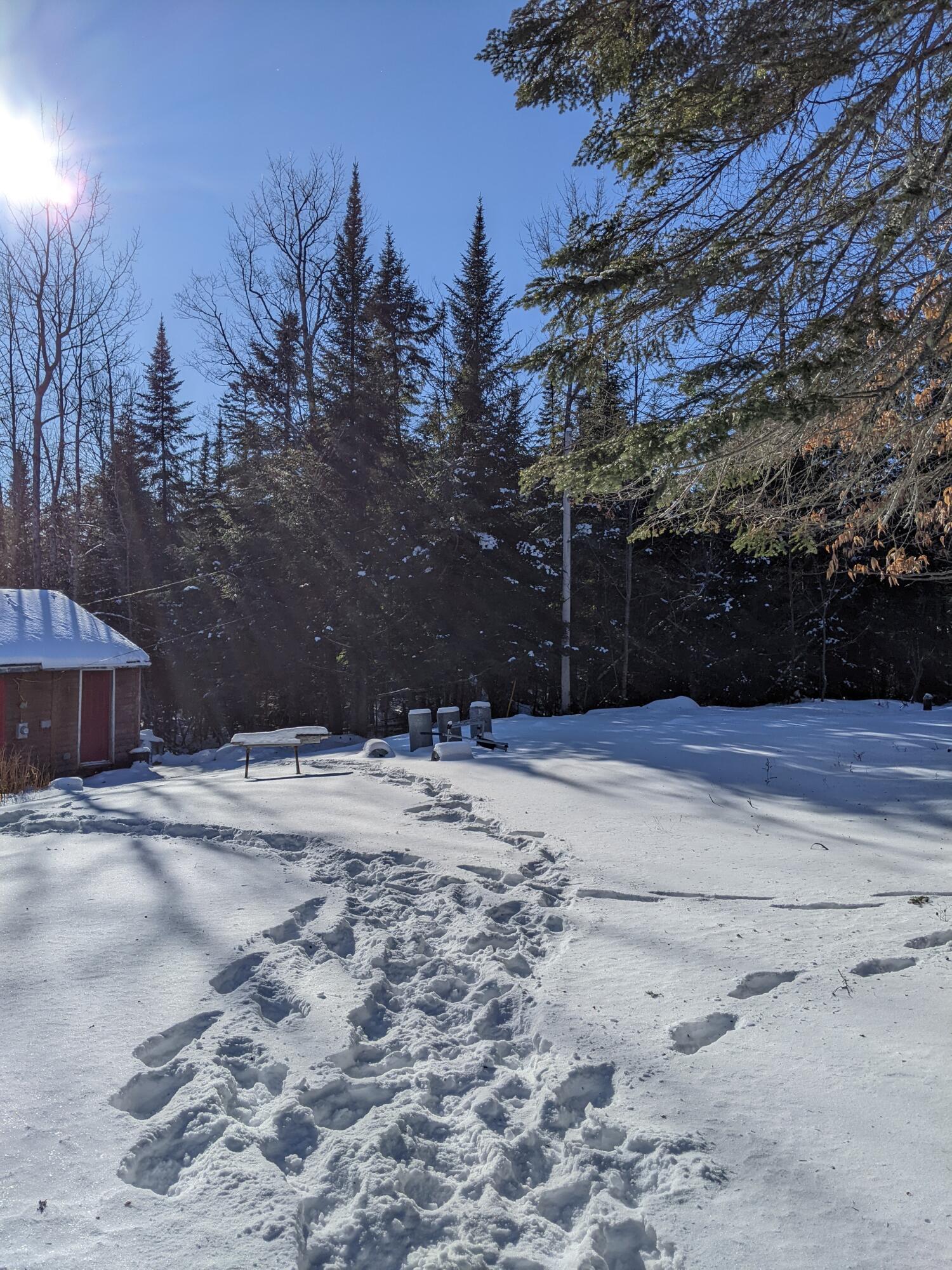 149 Pond Road Dyer Brook, ME 04747 - Photo 51 of 71 PXL_20220115_174331607