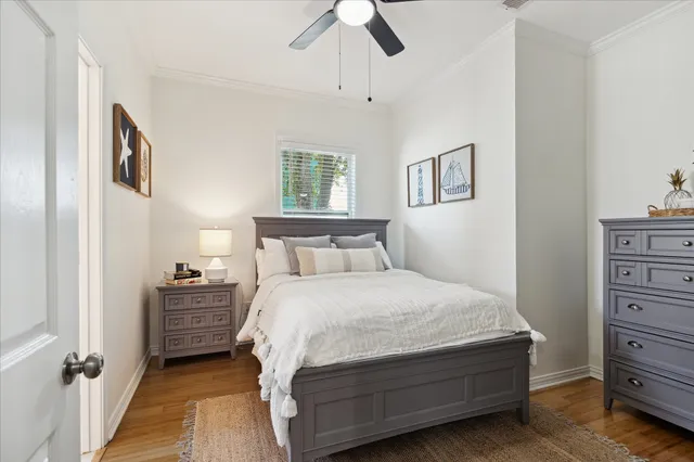 a kitchen with a potted plant on the counter and cabinets