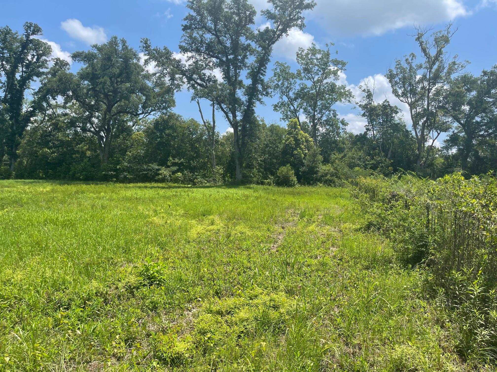 25636 Highway 98 Elberta, AL 36530 - Photo 2 of 24