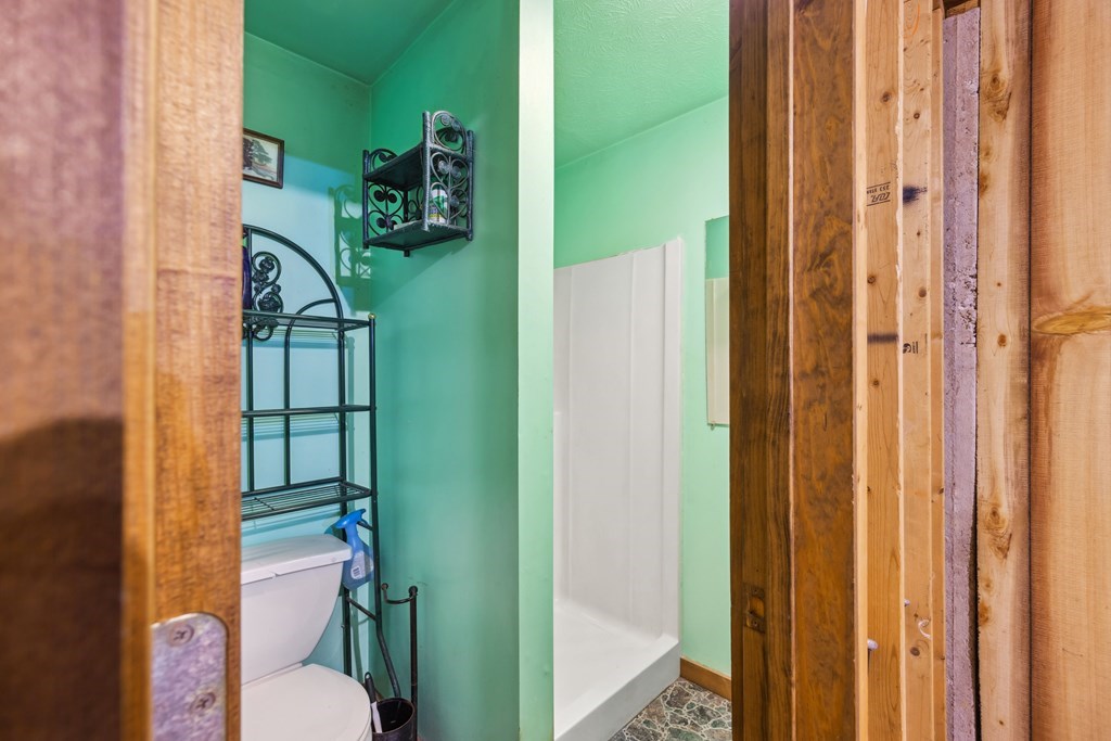 101 Menagerie Ridge Epworth, GA 30541 - Photo 40 of 48 a bathroom with a toilet and a shower curtain