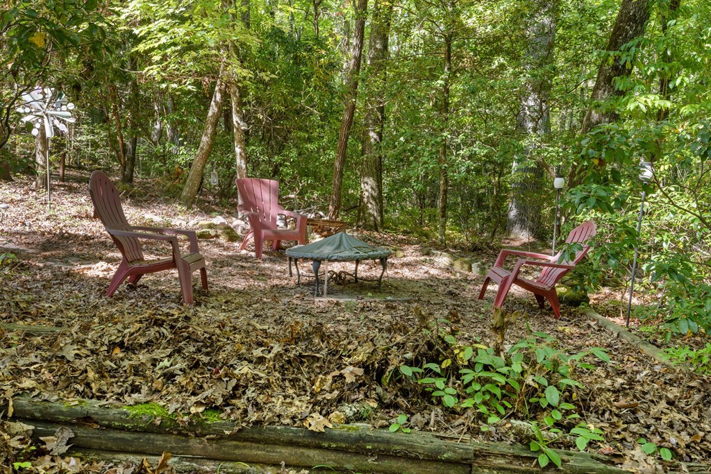 101 Menagerie Ridge Epworth, GA 30541 - Photo 48 of 48 a backyard of a house with table and chairs