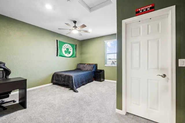 a view of a backyard with plants and a patio