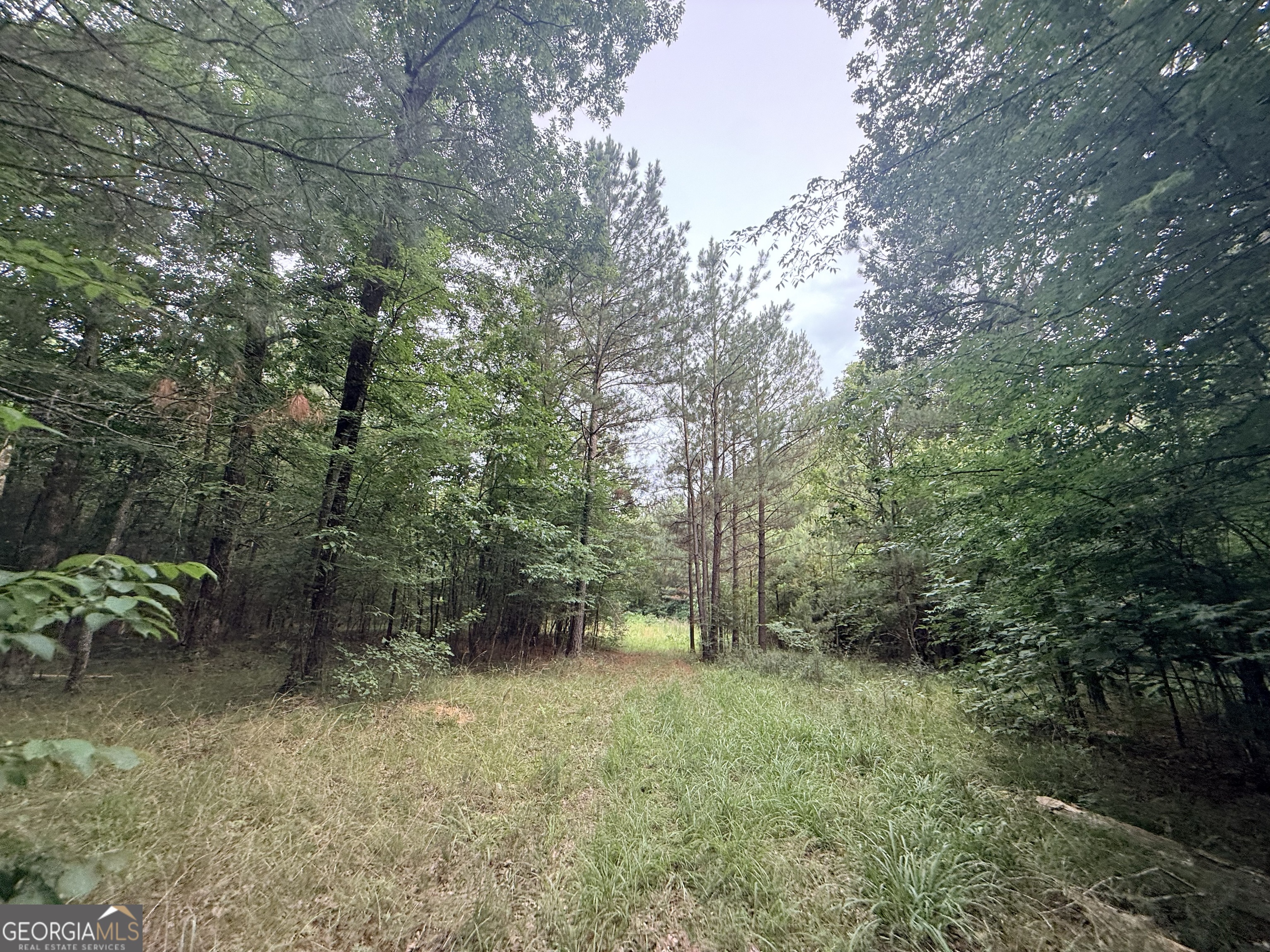 3 Bethesda Church Road Lexington, GA 30648 - Photo 48 of 60