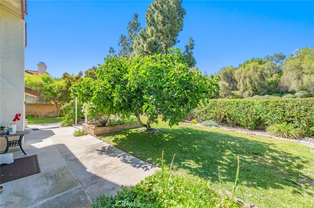 19621 Running Brand Circle Walnut, CA 91789 - Photo 37 of 40 a view of a backyard with table and chairs plants and large trees