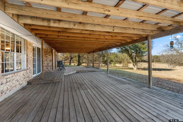 a view of a dry yard with trees