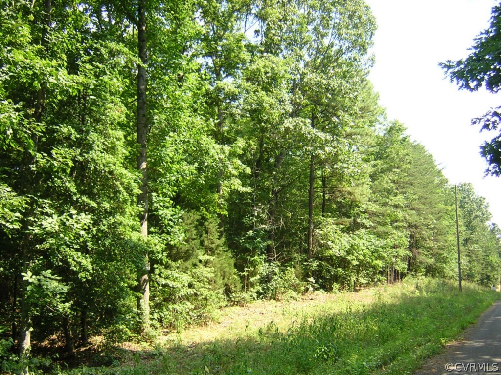 1 Horseshoe Bridge Road Ashland, VA 23005 - Photo 4 of 6 Gallery Image 4