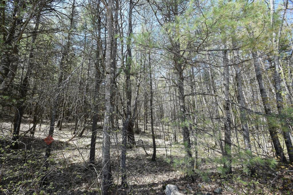 Lot 1 Tenny Hill Road Raymond, ME 04071 - Photo 2 of 11 Photo