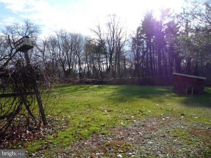 740 Durham Road Newtown, PA 18940 - Photo 5 of 22 Side Yard