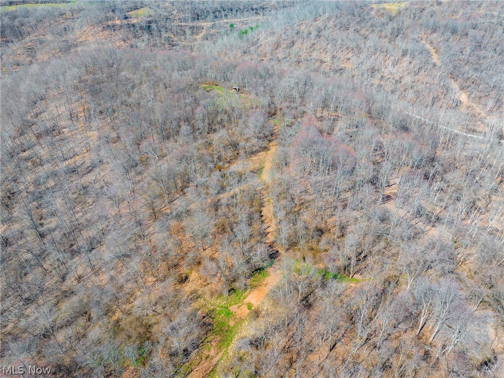 Sheepskin Ridge Road Lower Salem, OH 45745 - Photo 44 of 50 Drone / aerial view of a heavily wooded area