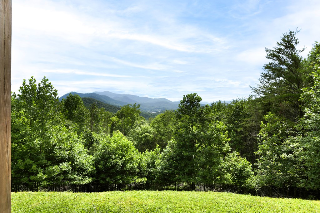 1047 Hidden Summit Road Hiawassee, GA 30546 - Photo 35 of 35 Gallery Image 35