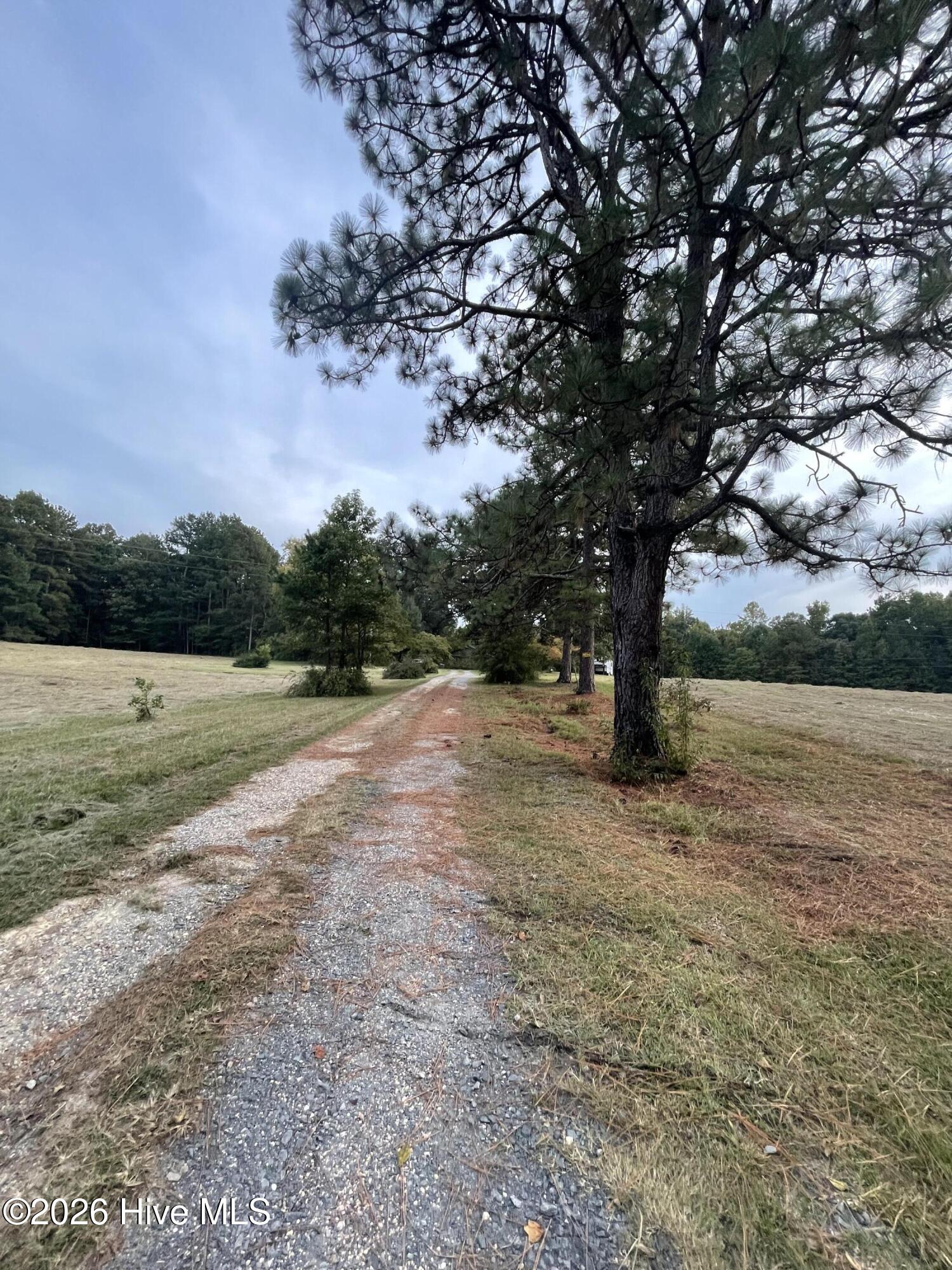 2315 West Chrisco Road Seagrove, NC 27341 - Photo 51 of 57 2315 Street view to gravel Driveway