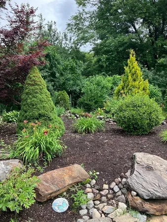 a view of a garden with plants