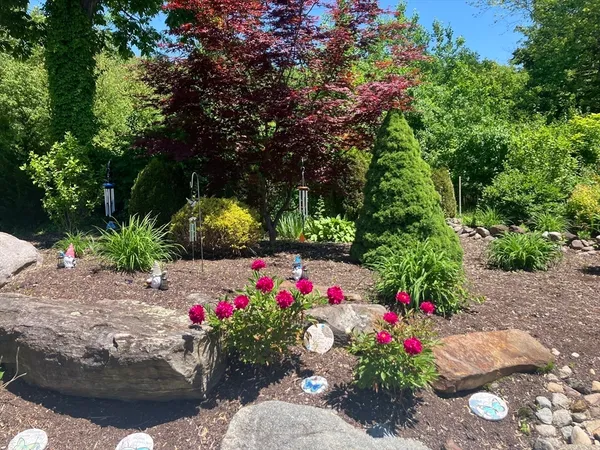 a view of a flower in a garden