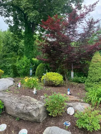 a view of a garden with plants