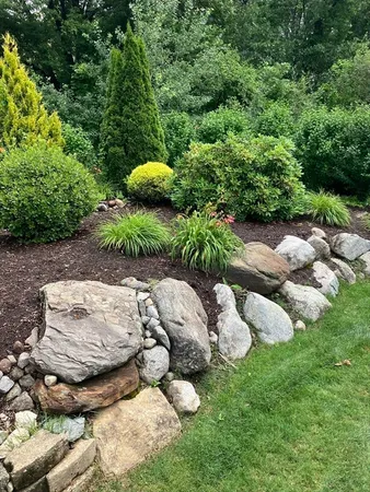 a view of a street with some trees