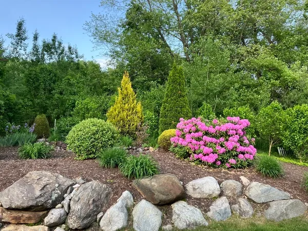 a view of a flower in a yard