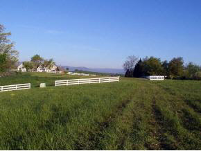 a view of outdoor space and yard