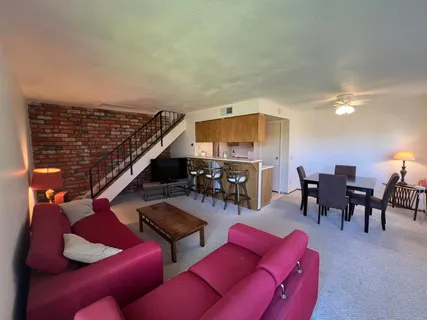 a living room with furniture a red rug and a fireplace