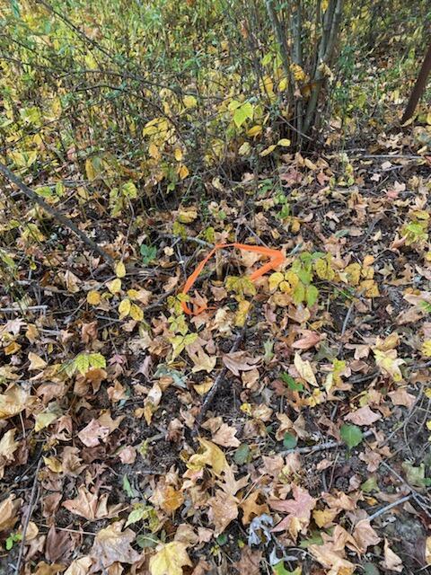 0 Sims Road Southwest Pataskala, OH 43062 - Photo 14 of 21 SW corner marker