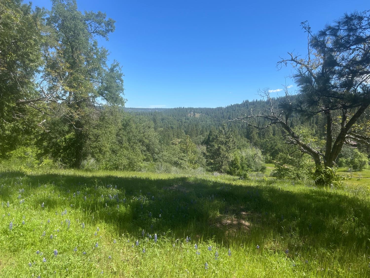 0 Schaefer Ranch Road Pioneer, CA 95666 - Photo 11 of 72