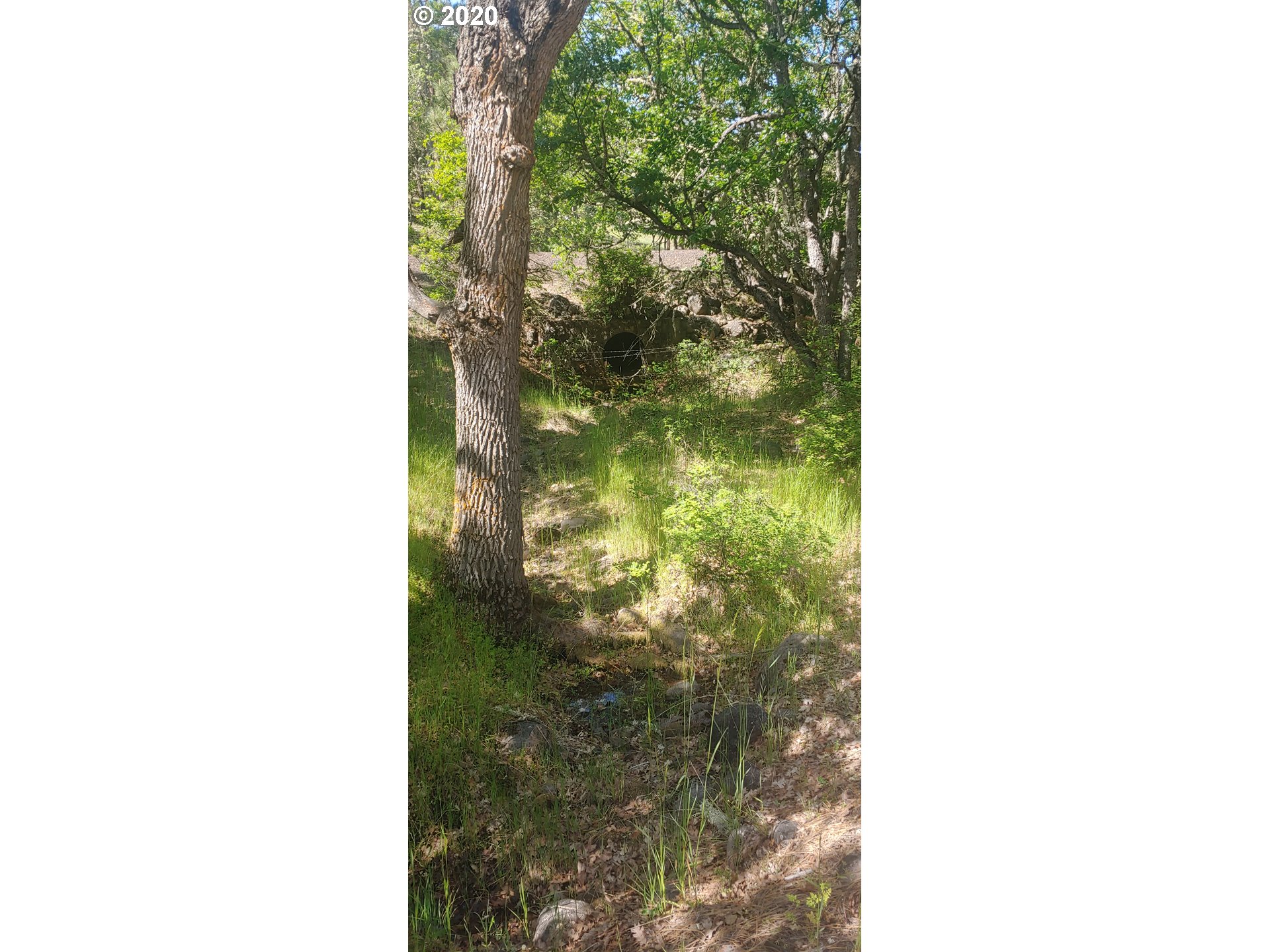 80761 Dufur Valley Road Dufur, OR 97021 - Photo 11 of 30 Gallery Image 11