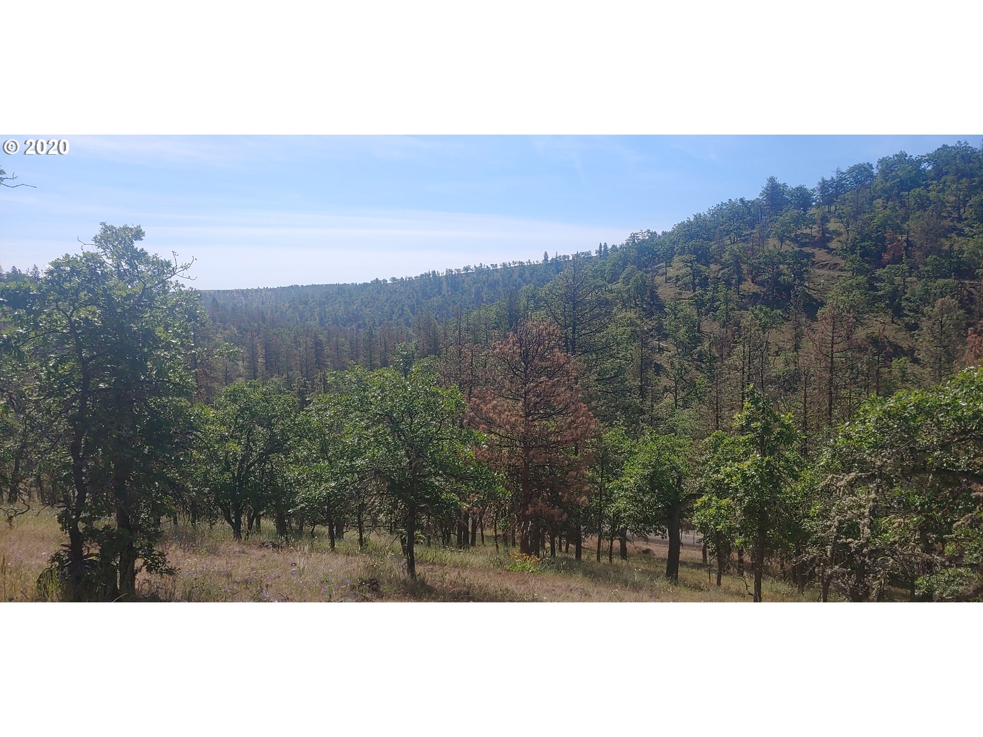 80761 Dufur Valley Road Dufur, OR 97021 - Photo 14 of 30 Gallery Image 14
