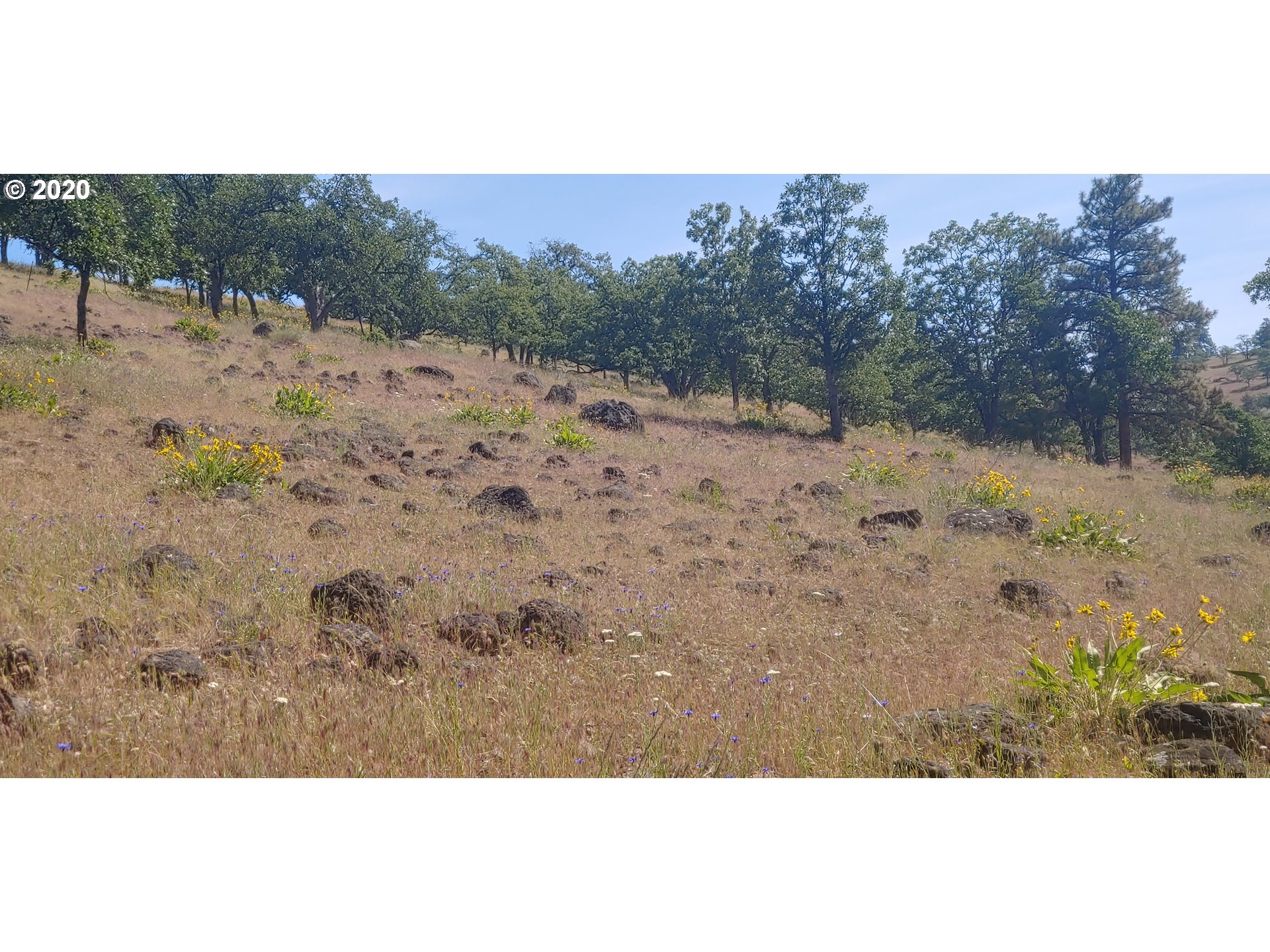 80761 Dufur Valley Road Dufur, OR 97021 - Photo 17 of 30 Gallery Image 17