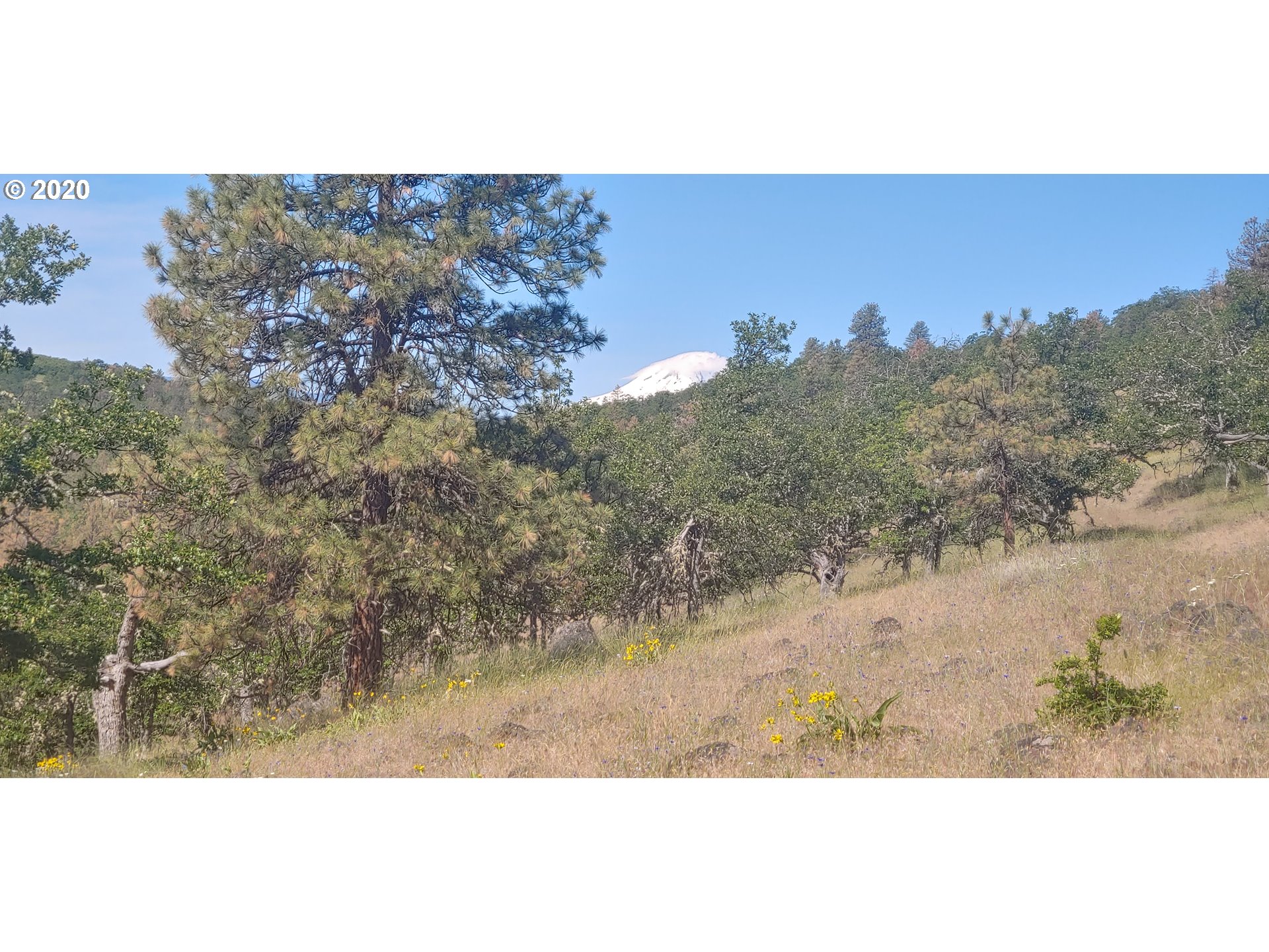 80761 Dufur Valley Road Dufur, OR 97021 - Photo 18 of 30 Gallery Image 18