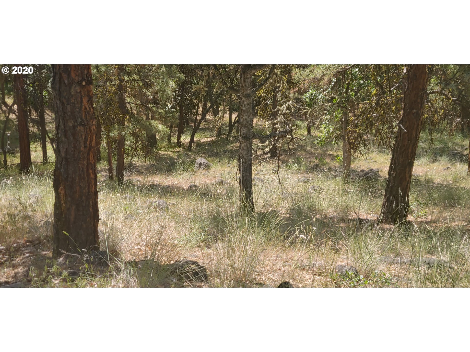 80761 Dufur Valley Road Dufur, OR 97021 - Photo 21 of 30 Gallery Image 21