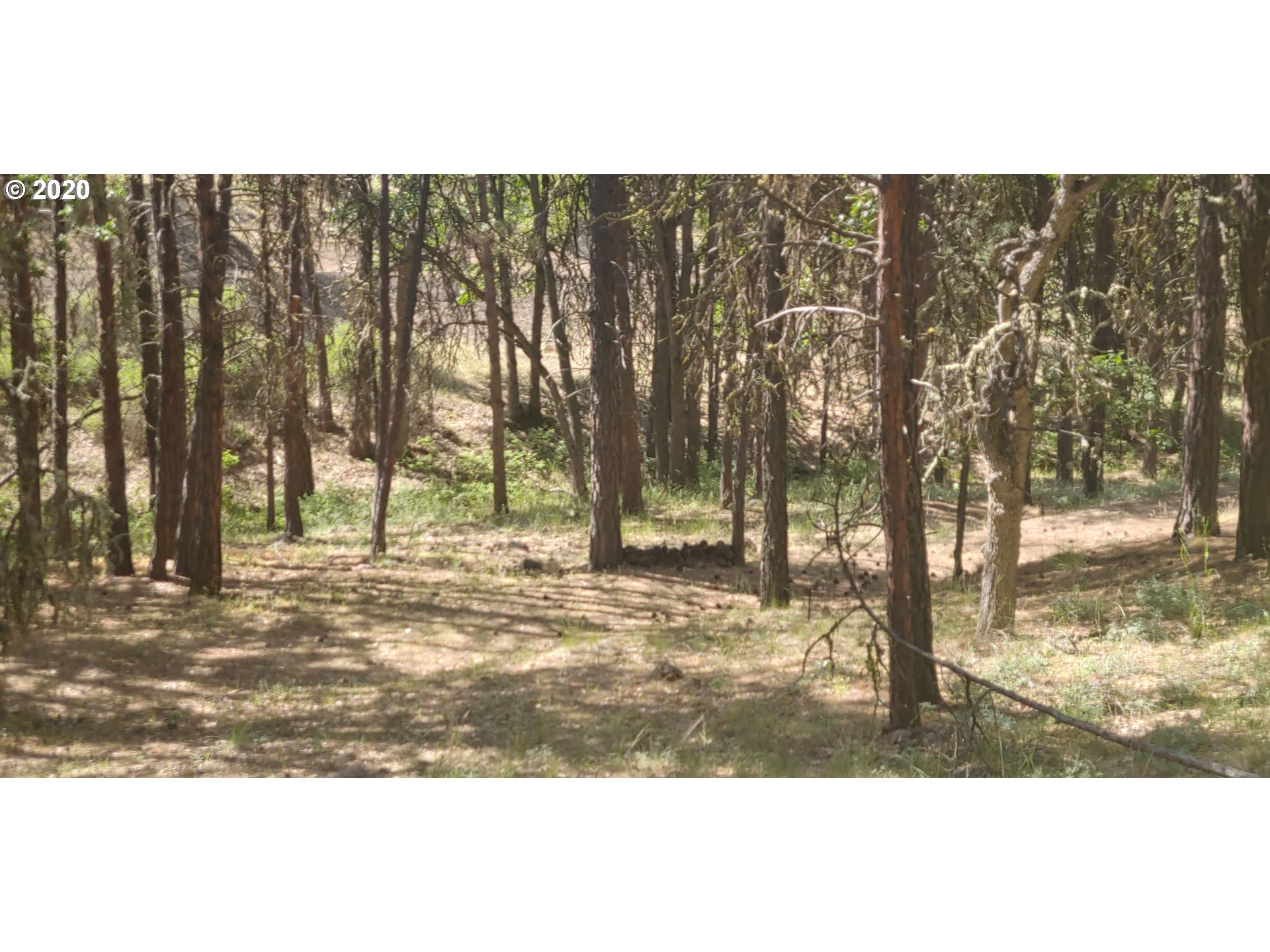 80761 Dufur Valley Road Dufur, OR 97021 - Photo 22 of 30 Gallery Image 22