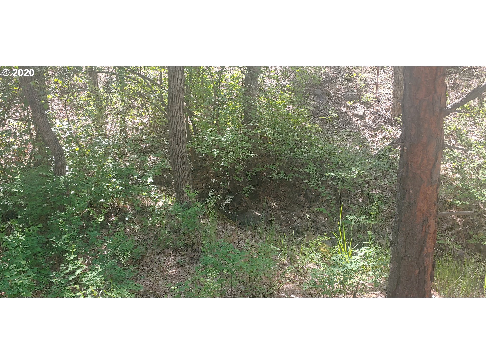 80761 Dufur Valley Road Dufur, OR 97021 - Photo 23 of 30 Gallery Image 23
