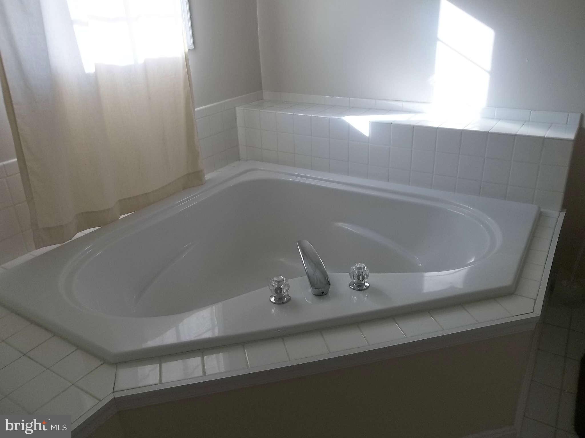 12155 Gringo Road Lusby, MD 20657 - Photo 16 of 28 Bath (Master)