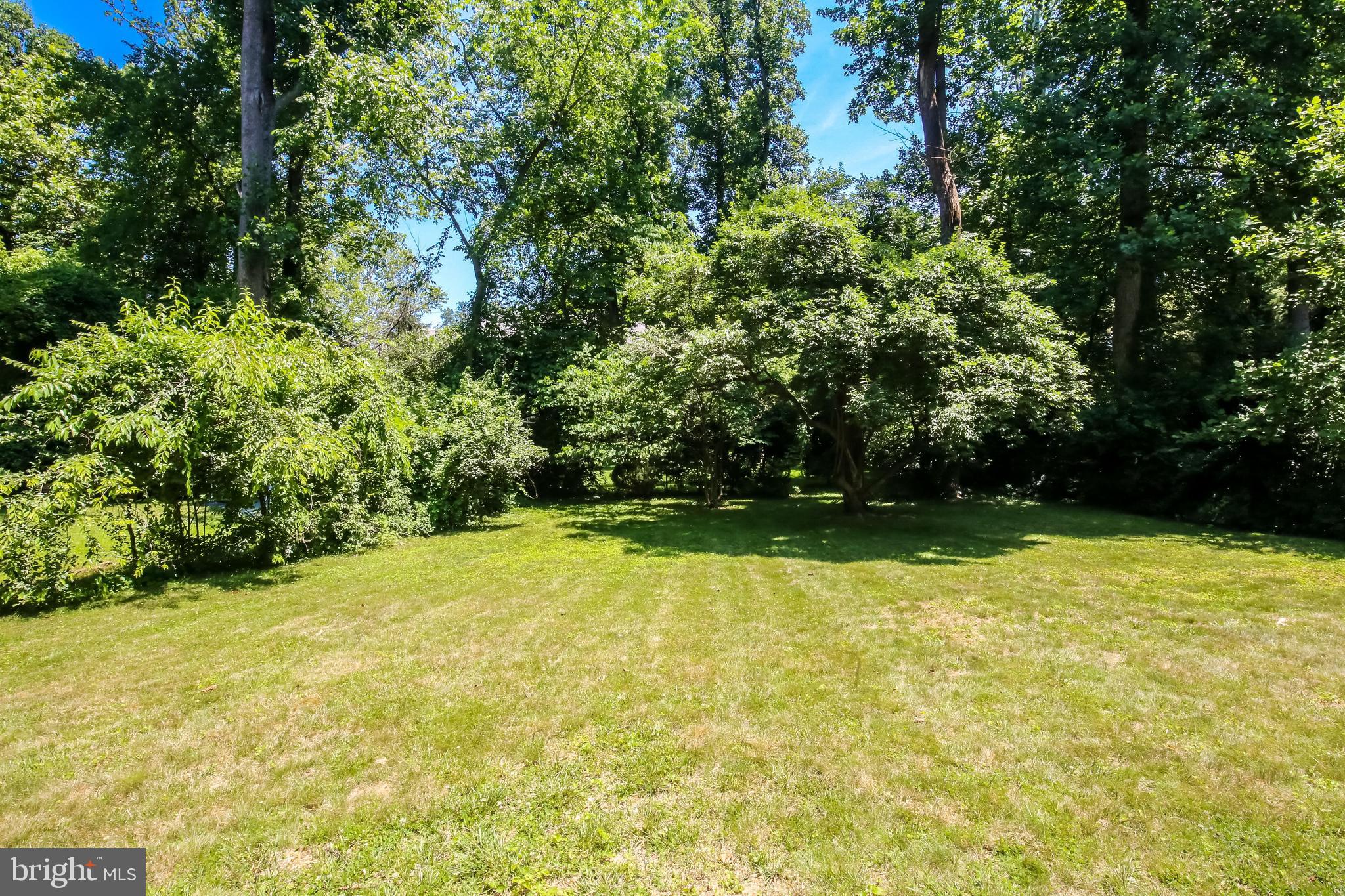 8401 Beech Tree Road Bethesda, MD 20817 - Photo 16 of 18 Spacious Flat Usable Yard