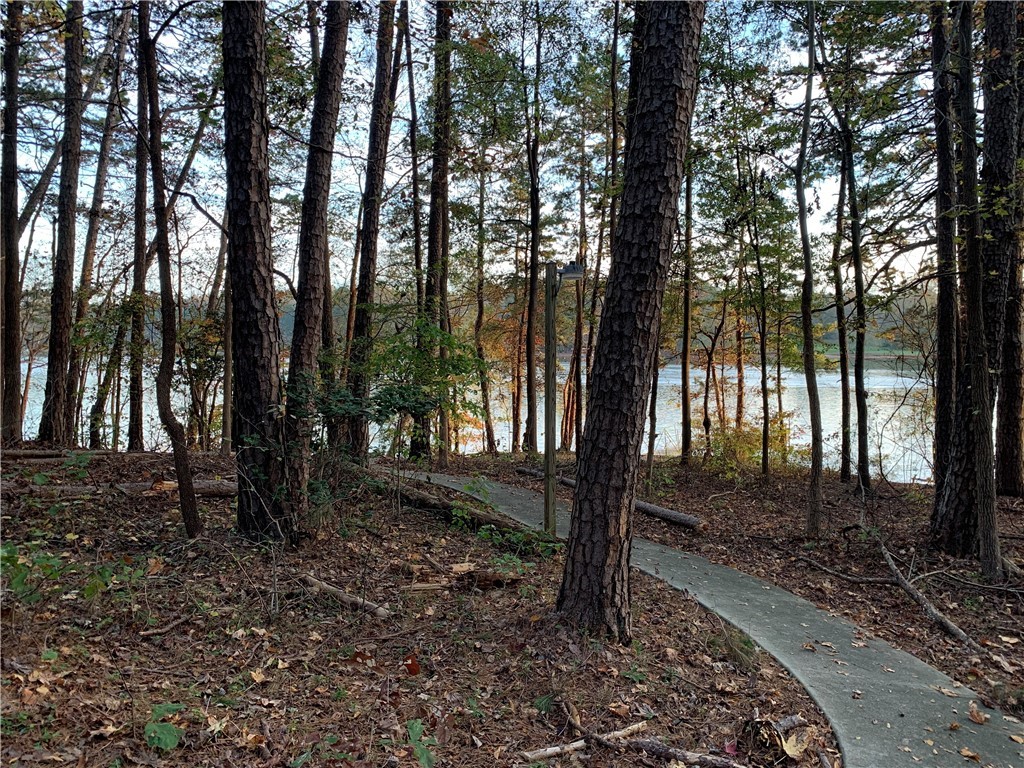 433 Lookover Drive Anderson, SC 29621 - Photo 10 of 27 Gallery Image 10