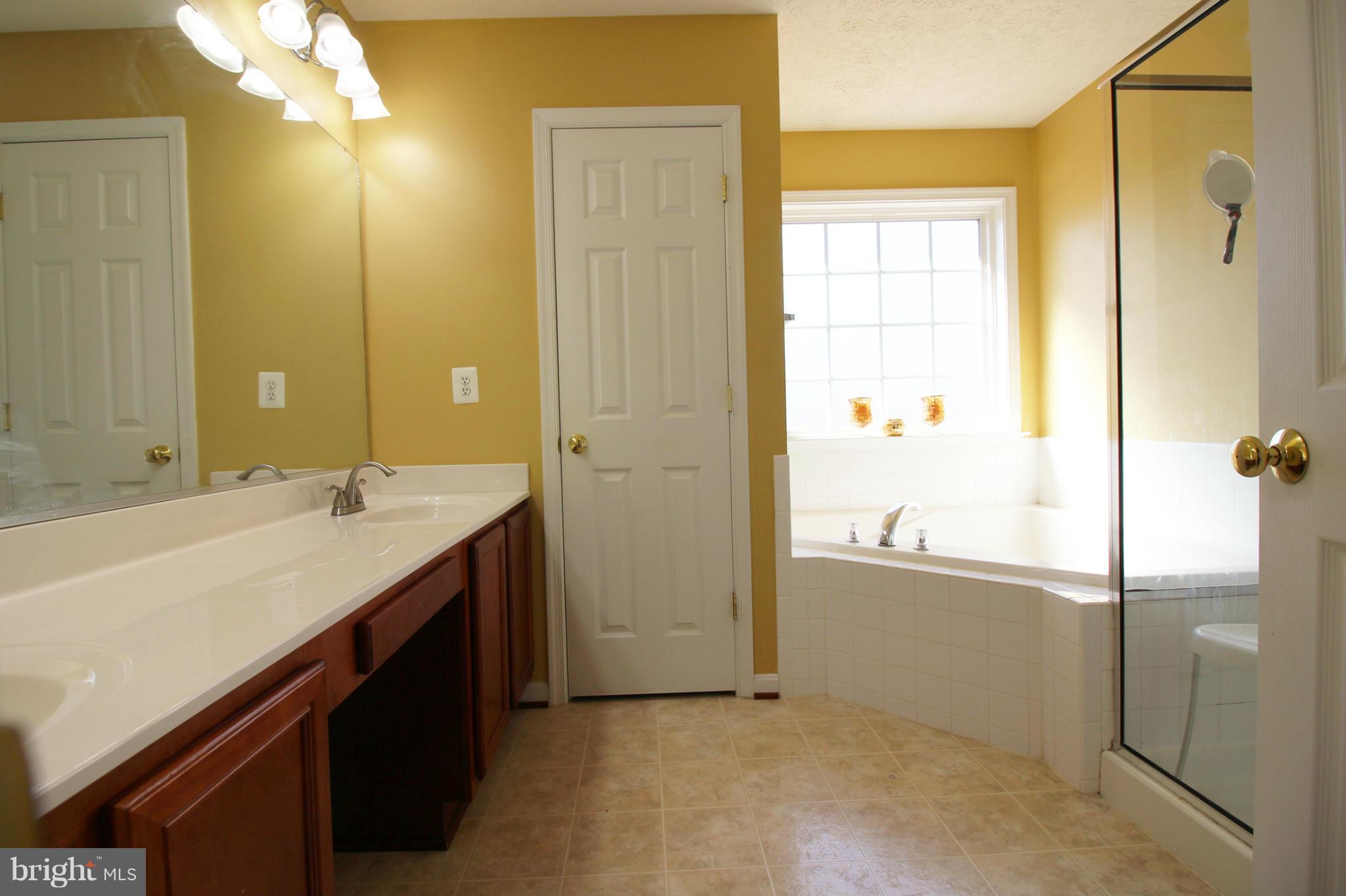 35318 Pheasant Ridge Road Locust Grove, VA 22508 - Photo 12 of 22 Bath (Master)