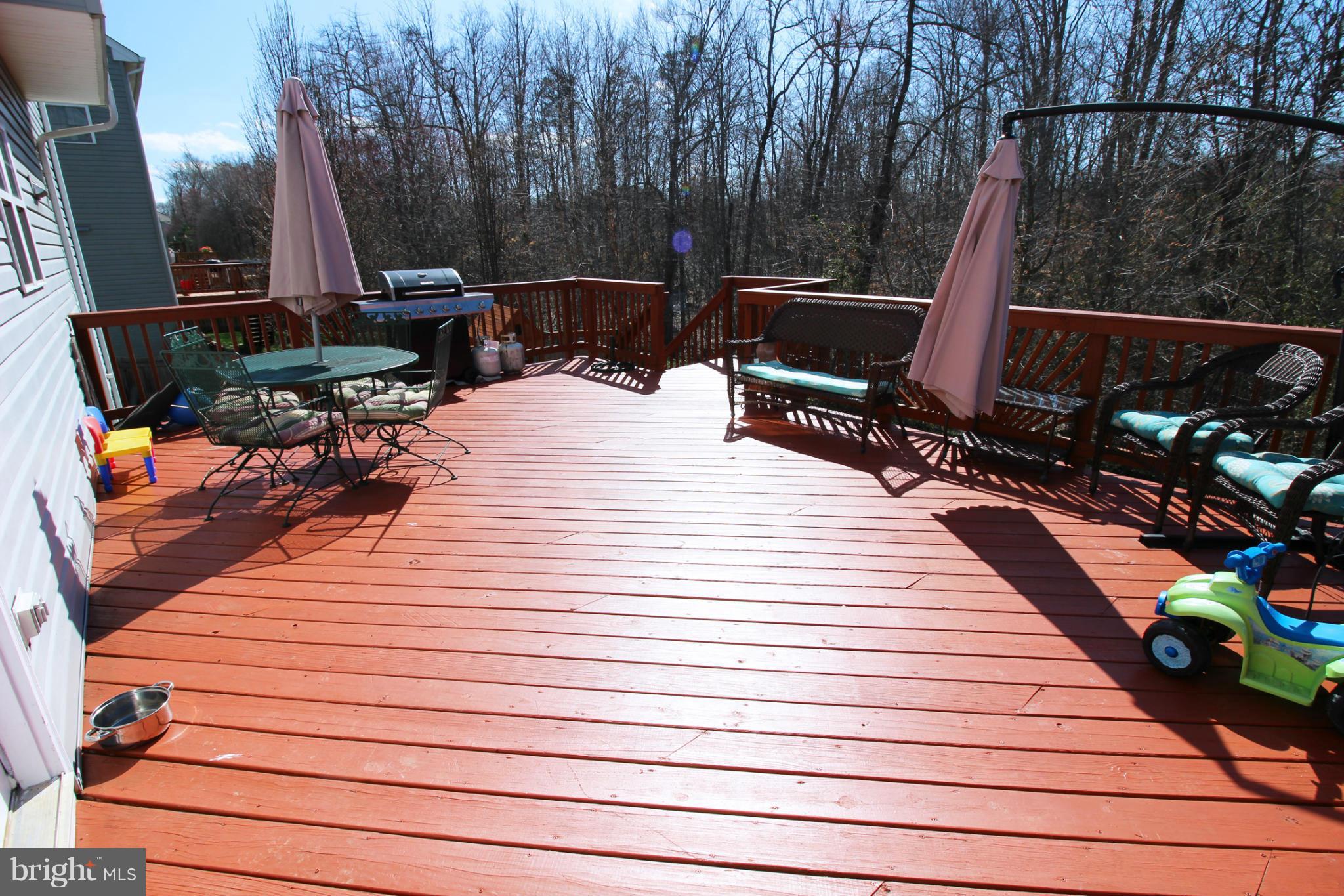 35318 Pheasant Ridge Road Locust Grove, VA 22508 - Photo 20 of 22 Exterior (Rear)