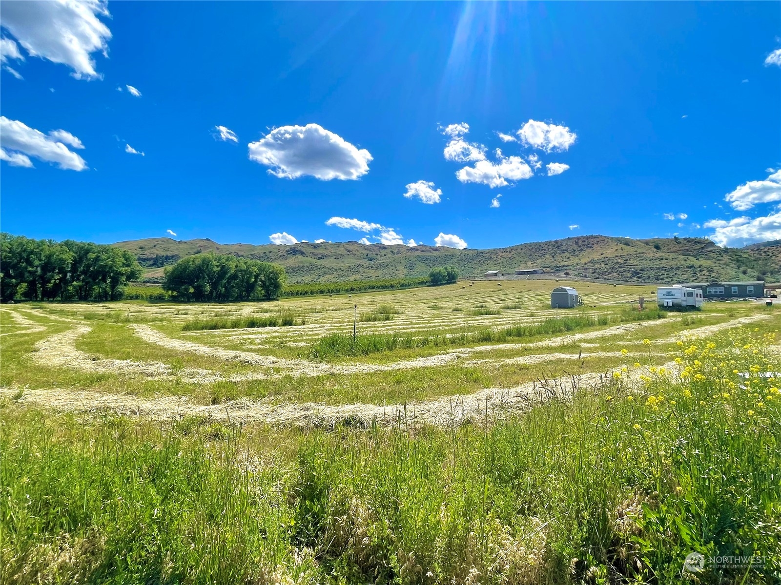 -tbd Alvarado Road Tonasket, WA 98855 - Photo 1 of 8 Gallery Image 1