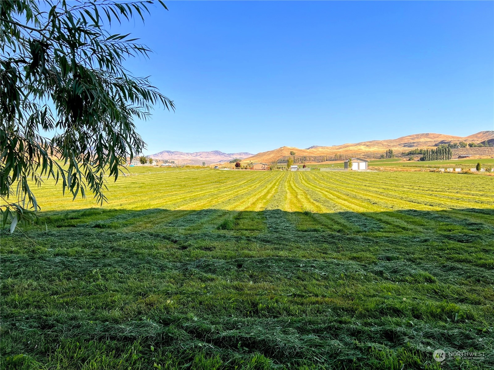 -tbd Alvarado Road Tonasket, WA 98855 - Photo 7 of 8 Gallery Image 7