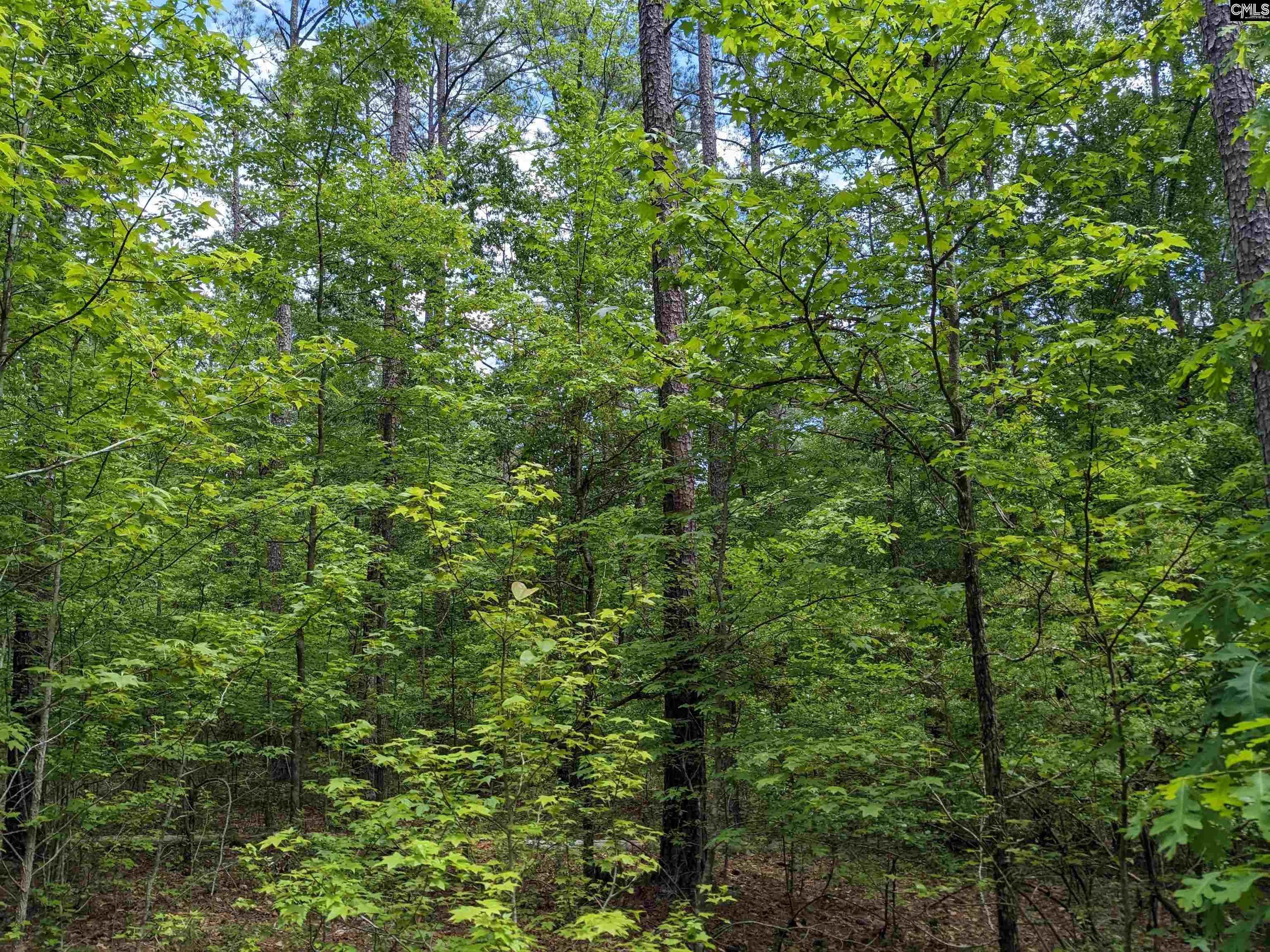 Syrup Mill Road Ridgeway, SC 29130 - Photo 23 of 33