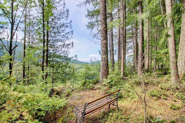 a backyard of a house with lots of green space