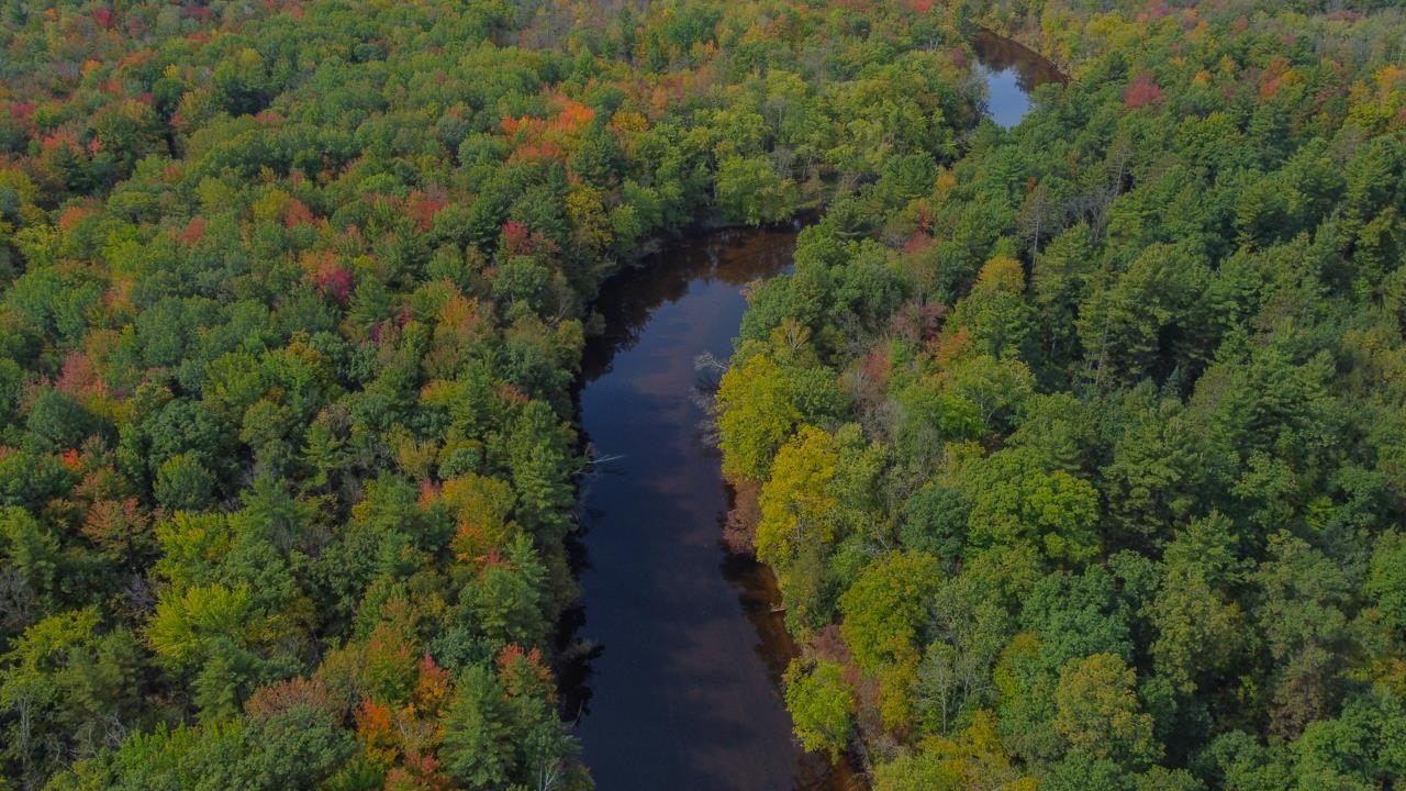 W7102 Buttercup Lane Porterfield, WI 54159 - Photo 60 of 69