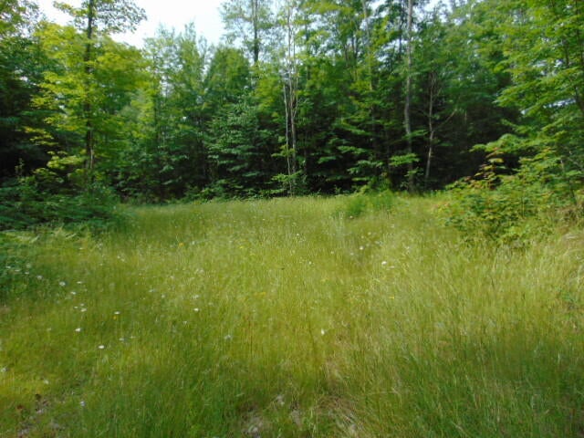 Tbd West Chesbrough Lake Road Newberry, MI 49868 - Photo 4 of 6 Gallery Image 4