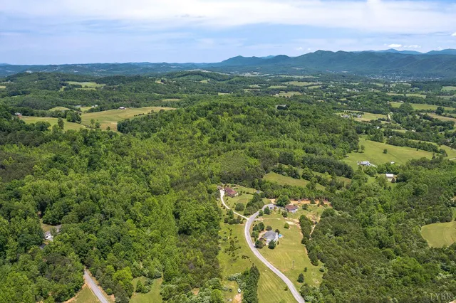 a view of a city with lush green forest